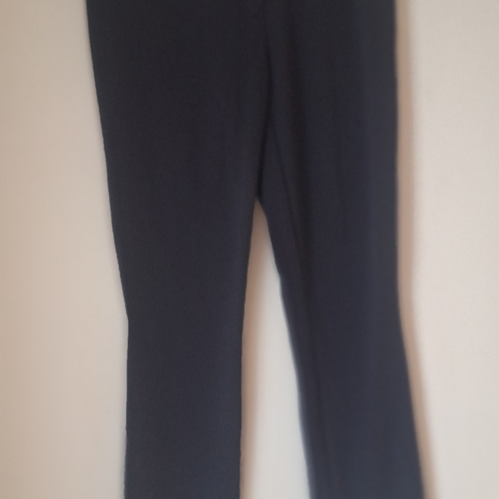 Pamela Herson Specially For Diana FirstenStraight Leg Women's Pants in Blue Sz10